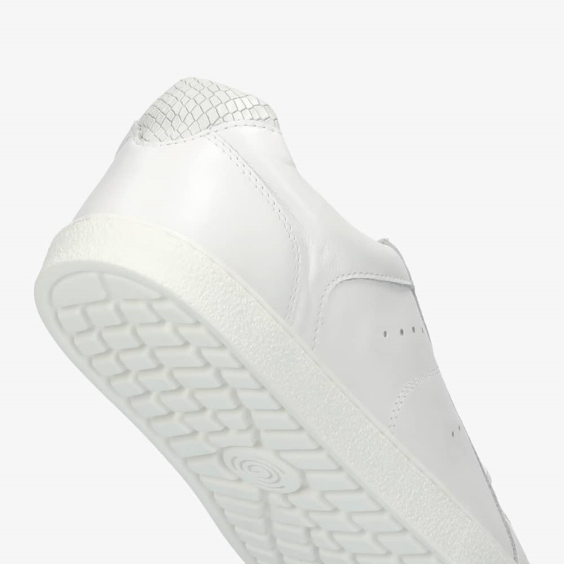 Groundies Schweiz Universum Schlange Frauen Weiss