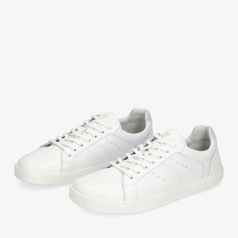 Groundies Schweiz Universum Schlange Frauen Weiss