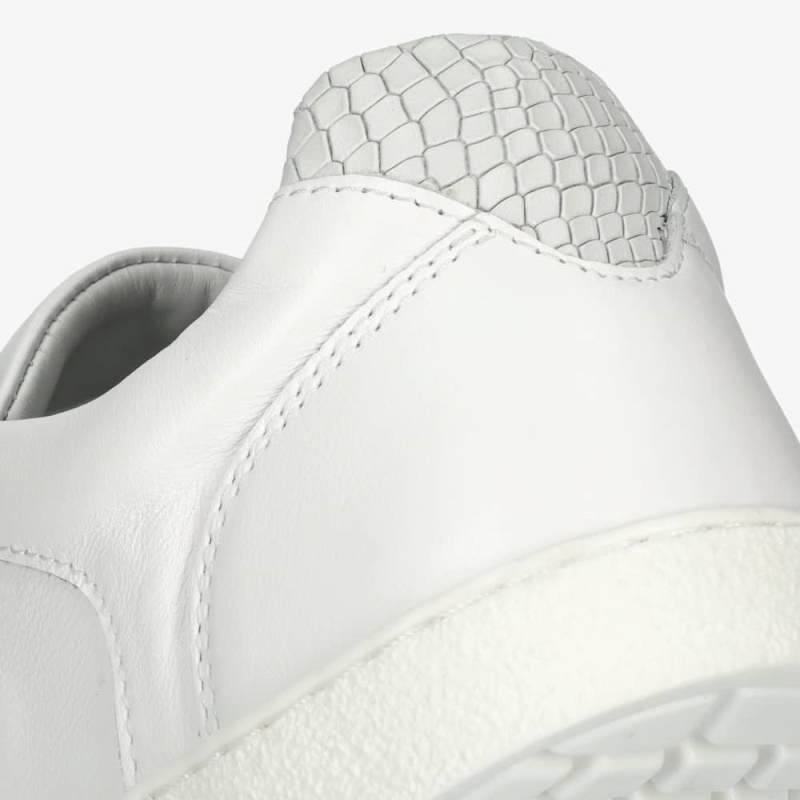 Groundies Schweiz Universum Schlange Frauen Weiss