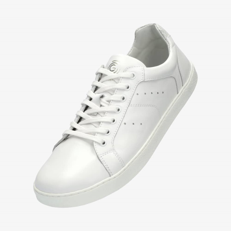 Groundies Schweiz Universum Schlange Frauen Weiss